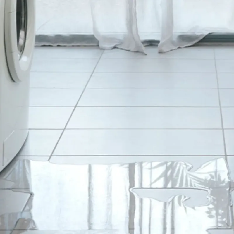 Appliance Leak Cleanup in Portage, WI
