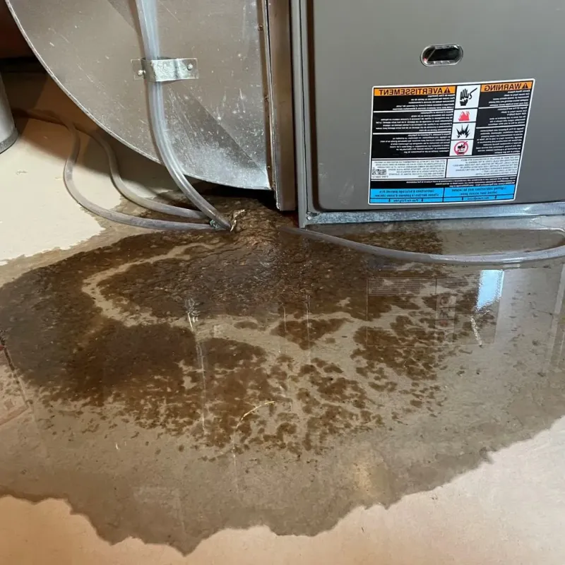 Pipe Burst and Leak Restoration in Portage, WI